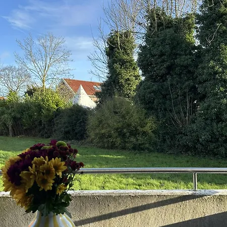 Lüttje Mööv 2 An Der Nordsee Schillig