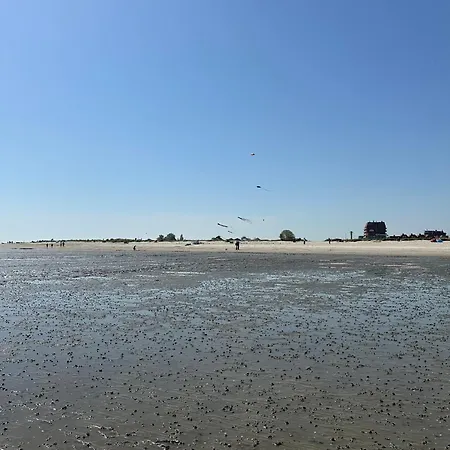 Lüttje Mööv 2 An Der Nordsee